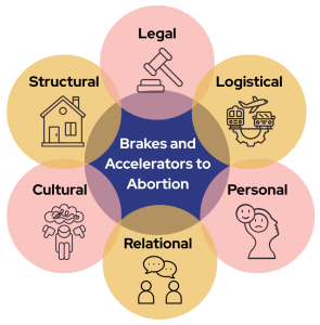 Brakes and Accelerators to Abortion